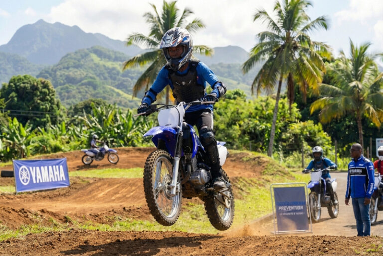 Interventions en france y compris les DOM TOM